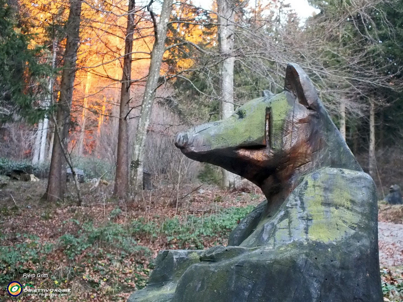 90 Nel Bosco degli Gnomi...l'Orso.JPG